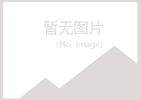 山阳区听兰工程有限公司